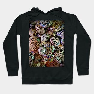 As Stunning as a Box of Rocks by Julie Ann Stricklin Hoodie